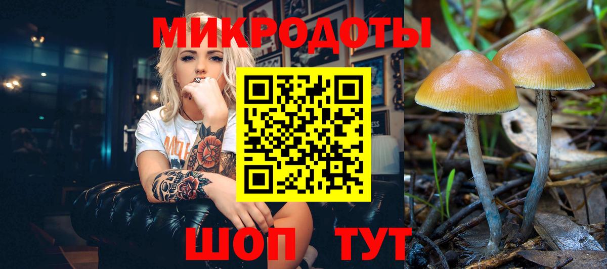 Галлюциногенные грибы GOLDEN TEACHER  Вход с VPN  Томск  Галлюциногенные грибы Psilocybine cubensis 